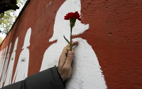 Un fiore rosso su un muro con sagome bianche, un omaggio alle vittime di femminicidio, cause psicologiche da affrontare.