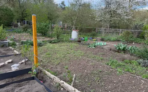 Ein Garten mit Beeten und einem provisorischen, freistehenden Rankgitter selber machen. Ein gelber Holzpfosten stützt Drahtseile für Pflanzen.