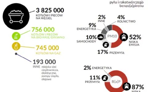 Smog: Z czego się składa? Poznaj toksyny i ich wpływ na zdrowie