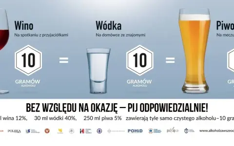 Ile alkoholu z Czech? Limity na piwo, wino, wódkę i kary!
