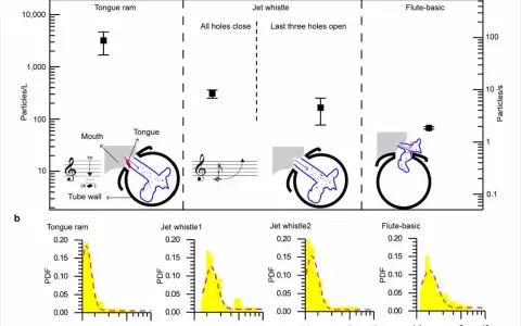 Graphiques comparant la production de particules de différents instruments à vent, dont la flûte et le sifflet.