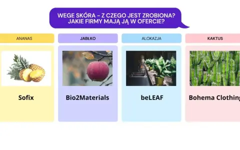Skóra wegańska - co to jest i jak wpływa na środowisko?