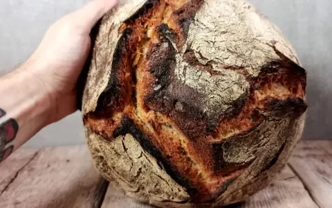 Hand hält ein knuspriges Sauerteigbrot. Die Kruste ist dunkelbraun und rissig. Was ist Brotmehl? Es ist die Grundlage für dieses köstliche Gebäck.