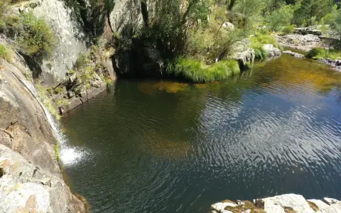 Las pozas negras de Cantalojas, un remanso de paz rodeado de vegetación y rocas, con una cascada cayendo en el agua oscura.