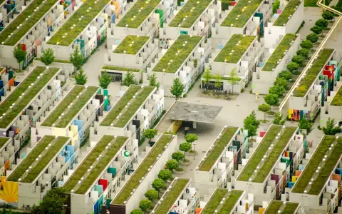 Grüne Dächer auf Reihenhäusern in einer kompakten Stadt. Viele bunte Fassaden und Bäume.