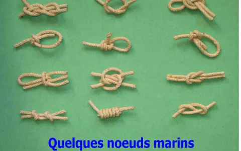 Divers nœuds marins faciles illustrés sur fond vert. Apprenez à faire un nœud marin facile pour vos besoins.