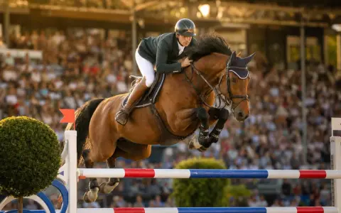 Cavalier et cheval brun en plein saut d'obstacles lors d'un parcours cso devant une foule en délire.
