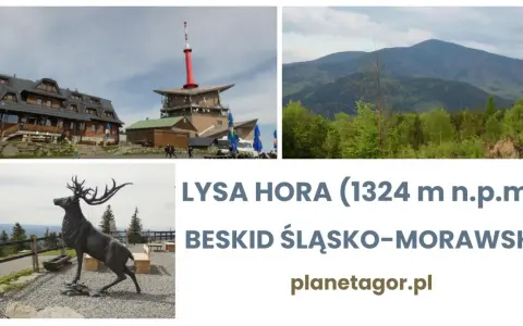 Łysa Hora, Beskid Śląsko-Morawski: budynek, wieża, krajobraz górski i rzeźba jelenia.