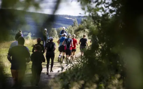 Löpare på en grusväg i skogen, en del av dem deltar i trailvasan 30.