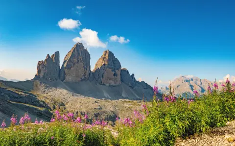 Tre Cime di Lavaredo maestose, fiori viola in primo piano. Un invito a scoprire gli **itinerari Dolomiti** più suggestivi.