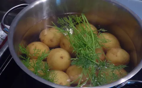 En gryta med dillkokt potatis i vatten. Snart redo att serveras med smör och mer dill.