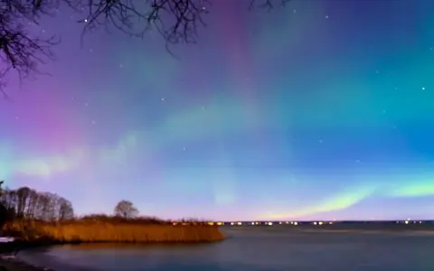 En magisk norrsken resa i Sverige. Aurora Borealis dansar över en sjö med träd och vass i förgrunden.