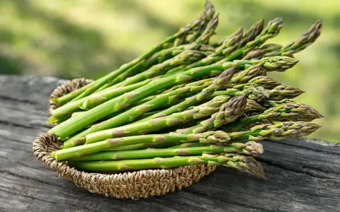Freshly harvested asparagus spears in a woven basket, ready to be planted. Learn how to grow asparagus for a bountiful harvest.