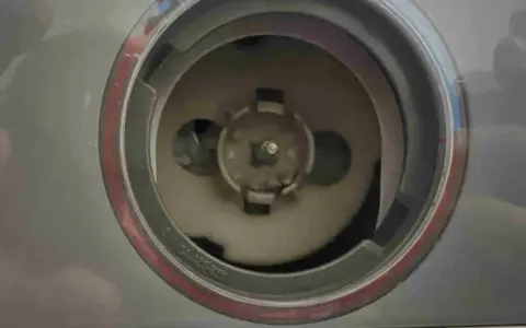 Meccanismo interno per sostituzione manopola programmi lavatrice. Si intravede il perno centrale e le alette di aggancio.