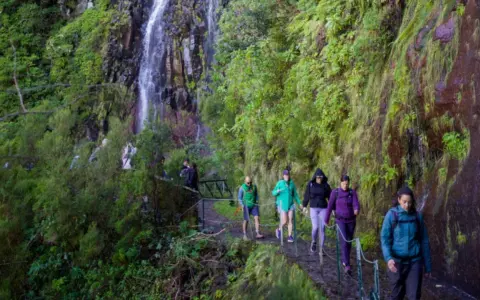 Randonneurs sur un sentier étroit longeant une cascade luxuriante, une expérience typique d'une levada à Madère.