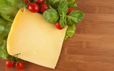 Czy pies może jeść ser? Bezpieczne opcje i zagrożenia dla zdrowia