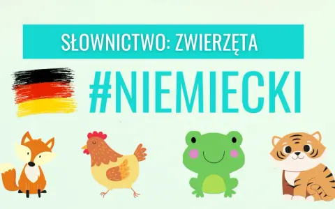 Słownictwo: zwierzęta po niemiecku. Lis, kura, żaba i tygrys uczą się języka. #NIEMIECKI