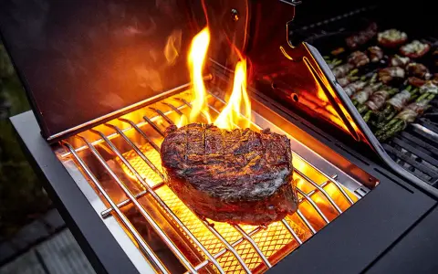 Grill gazowy Jamestown: Przewodnik. Wybierz idealny model!