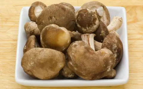 Świeże grzyby shiitake w białej misce, idealne na keto dietę.
