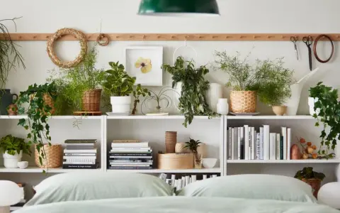 Grüne Oase im Schlafzimmer: Viele Pflanzen auf Regalen, Bücher und Dekoartikel schaffen eine gemütliche Atmosphäre.