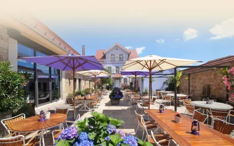 Weingut am Nil Gastronomie: Kulinarik & Wein-Erlebnisse in Kallstadt