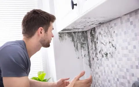 Un homme découvre de la moisissure sous un meuble de cuisine. Une VMC salle de bain norme est essentielle pour éviter ce problème.