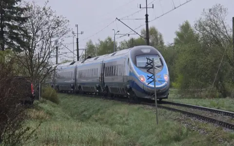 Srebrno-niebieski pociąg Pendolino jedzie po torach. W tle drzewa i słupy trakcyjne. Może to opóźnienie pociągu zwrot?