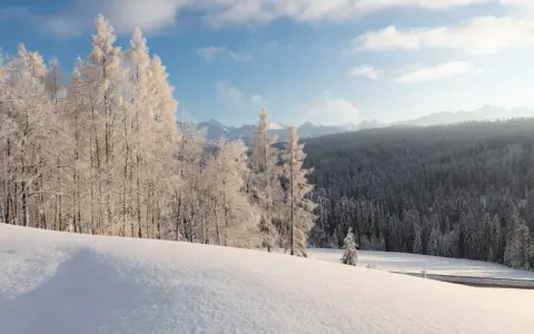 Zimowy krajobraz Bieszczad. Śnieg pokrywa wzgórza i lasy, a drzewa są oszronione. Słońce przebija się przez chmury, tworząc magiczną atmosferę.
