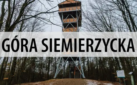Wieża widokowa na Górze Siemierzyckiej w otoczeniu nagich drzew.
