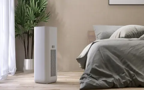 Un deumidificatore di notte, accanto a una pianta e un letto, crea un ambiente confortevole e salubre.