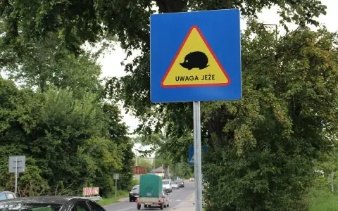 Litwa znaki drogowe: uwaga jeże! Niebezpieczeństwo na drodze, szczególnie nocą.