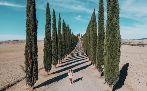 Una donna cammina lungo un viale di cipressi nel Val d'Orcia, Italia, sotto un cielo azzurro.