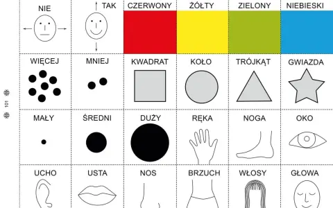 Pomoc w nauce dla 6 latka: kolory, kształty, liczby, części ciała.