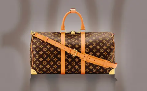 Borsa da viaggio Louis Vuitton con monogramma marrone e dettagli in pelle naturale, un classico che evoca il **louis vuitton origine**.