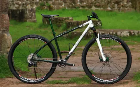Ein robustes Mountainbike von Tannenwald, bereit für Trails. Perfekt für Abenteuer im Wald.