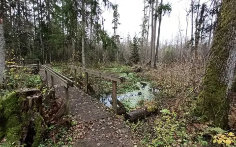 Rezerwat przyrody Krzemianka: piękno natury i unikalne atrakcje