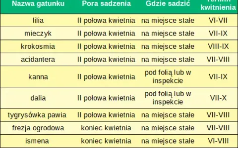 Jakie kwiaty sadzić w kwietniu? Uniknij błędów, ciesz się ogrodem!