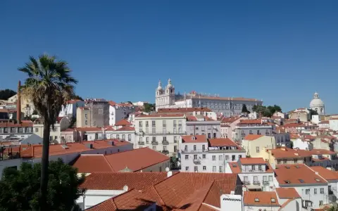 Słoneczna Portugalia, pogoda w lutym zachwyca. Widok na Lizbonę z palmą i kościołami na wzgórzach.