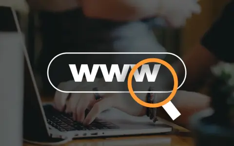Dłonie piszące na laptopie, z lupą nad napisem "WWW".