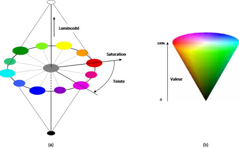 Modèle de couleur TSL : roue chromatique montrant la teinte, la saturation et la luminosité, et un cône de couleur représentant la valeur.