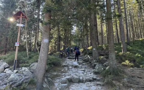 Kamienna ścieżka w lesie, turyści idą w górę. Znak wskazuje niebieski szlak na Śnieżkę.