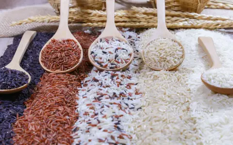 Cucharas de madera con arroz negro, rojo, integral y blanco, perfectos para tus recetas de arroz.
