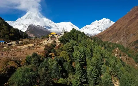 Wzgórza porośnięte sosnami, buddyjska świątynia i ośnieżone szczyty Himalajów podczas Manaslu Circuit Trek.