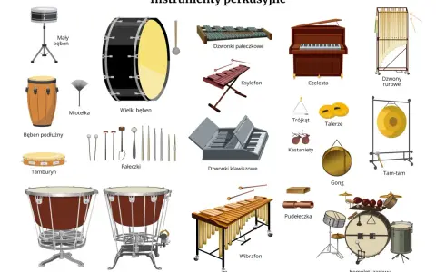 Ilustracja przedstawia różnorodne instrumenty perkusyjne, od bębnów po dzwonki i kastaniety, tworząc bogactwo dźwięków.