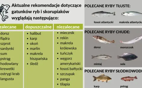 Rekomendacje ryb dla dzieci: dorsz, flądra, sardynki, pstrąg. Polecane ryby tłuste, chude i słodkowodne.