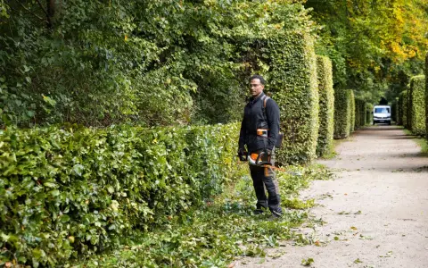 Hombre podando setos, mostrando diferentes tipos de setos a lo largo de un camino.
