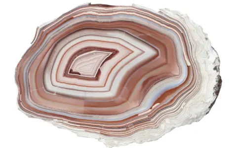 Fetta di agata pietra con bande concentriche di bianco, marrone e blu.