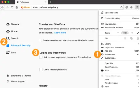 Ustawienia Firefoxa: opcje "Logins and Passwords" i "Preferences" są widoczne. Można tu zarządzać hasłami Google i innymi danymi logowania.