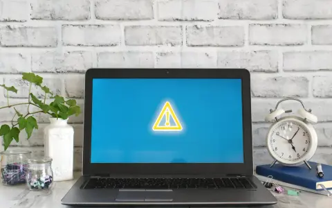 Laptop z symbolem ostrzeżenia na ekranie, obok budzik i rośliny.
