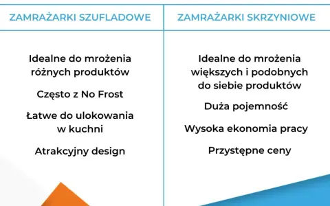 Zamrażarka czy zamrażalka? Dlaczego tylko jedna jest poprawna?